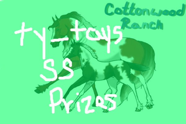 ty_tay's Summer Showdeo Prizes