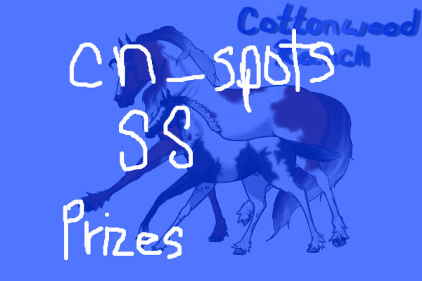 cn_spots Summer Showdeo Prizes
