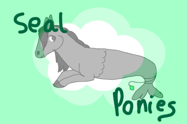 Seal Ponies - Open