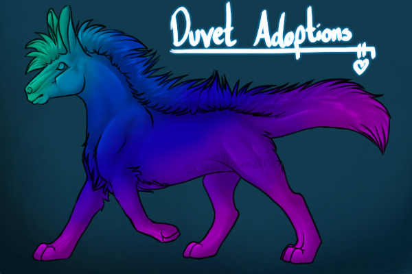 Duvet Adoptions