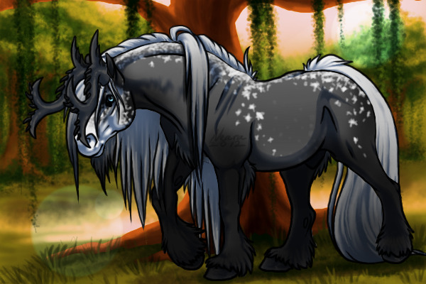BK: Unique Gray Dapple: Nóiméad An Tsolais "Solais"
