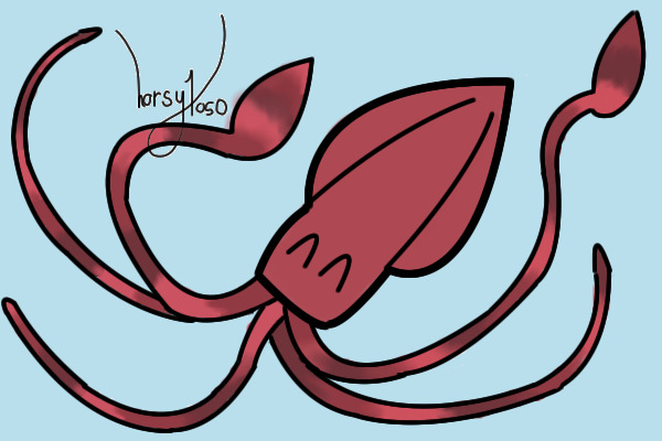 !!! SQUIDDY !!!