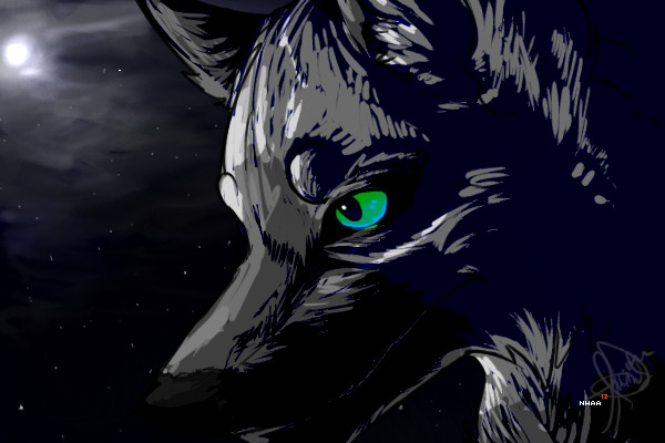 For a friend