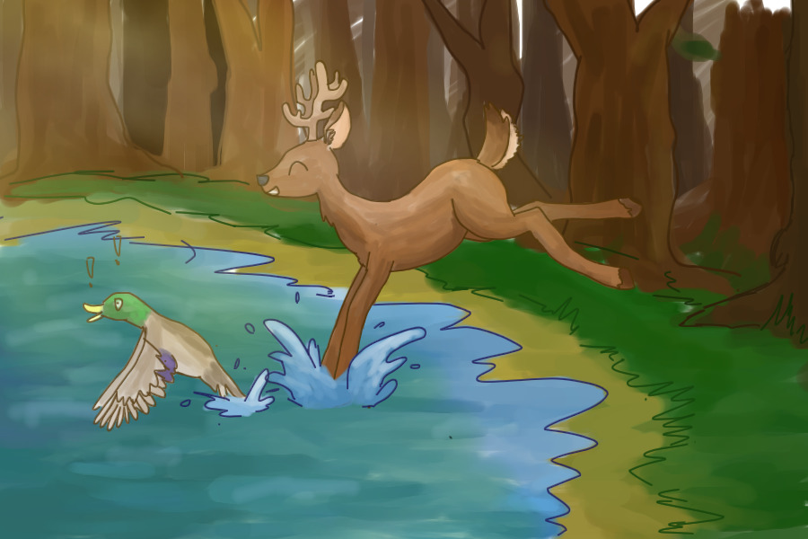 deer and duck!