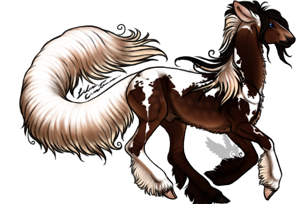 Ezekiel(Dappled Bay Dun Freckled Tobiano)
