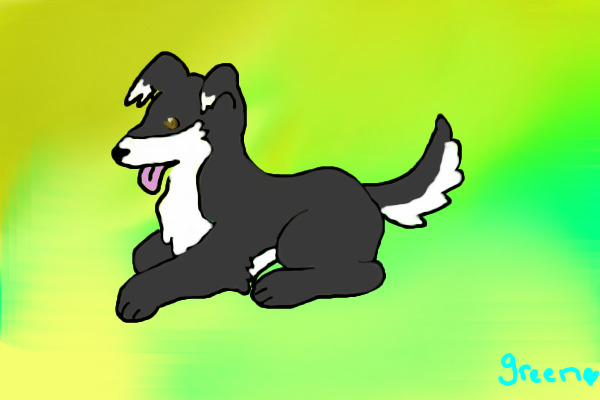 Shep
