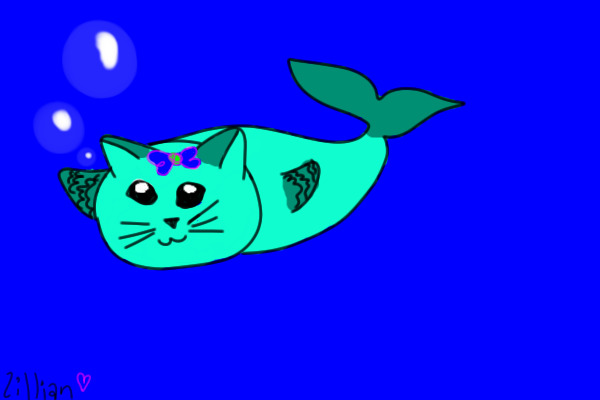 Cat fish