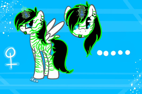 Zebra Shine