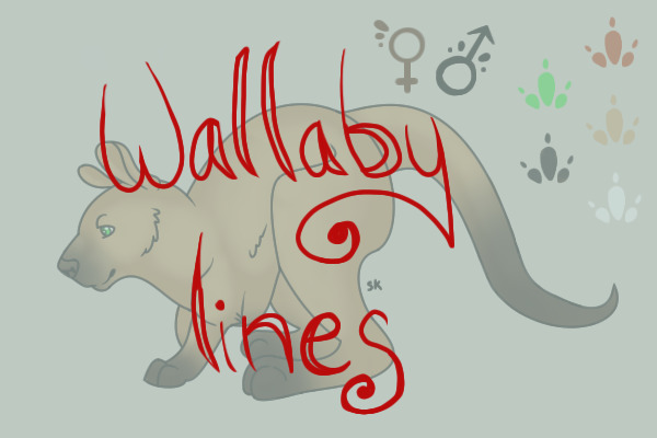 Wallaby Lines<333
