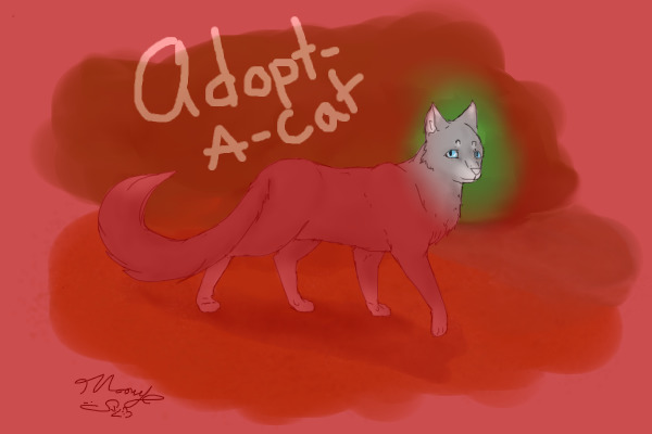 Adopt-A-Cat!