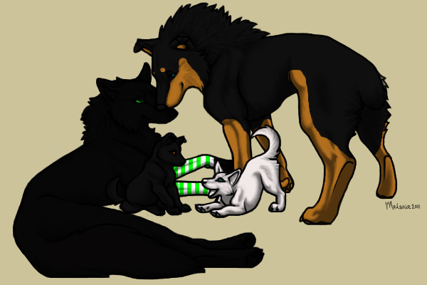 Ash And Kodi's Pups
