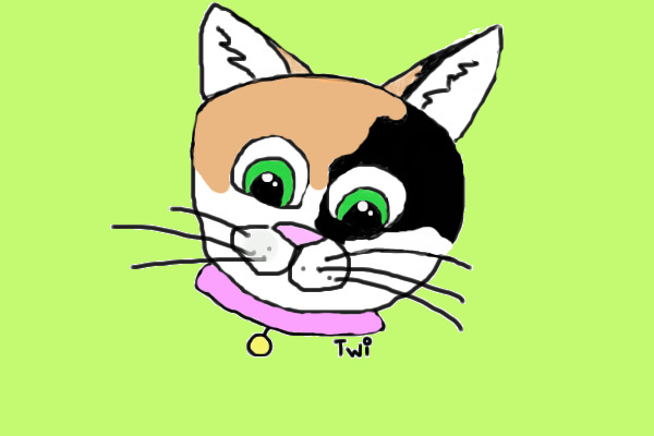 Calico Kitten