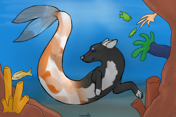 oh look, a koi-yote!