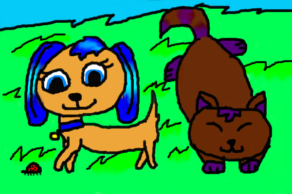 Contest Entry