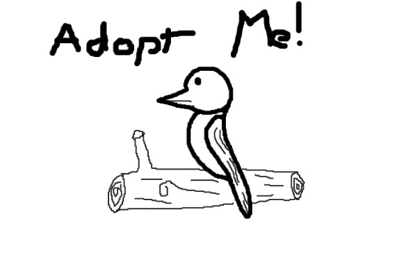 Akamaru's Birdie Adoptables!