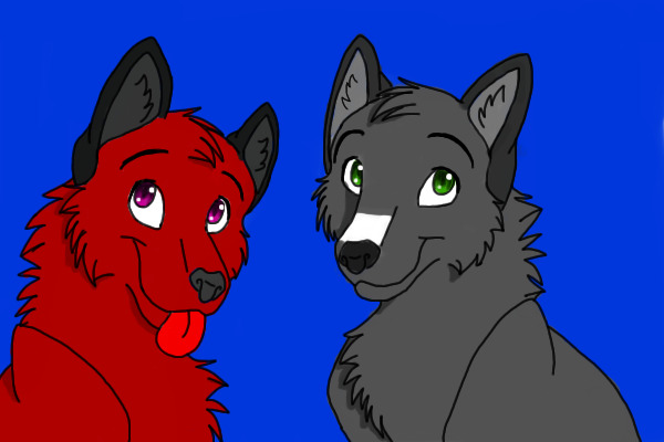 Bella and edward (Wolf style)