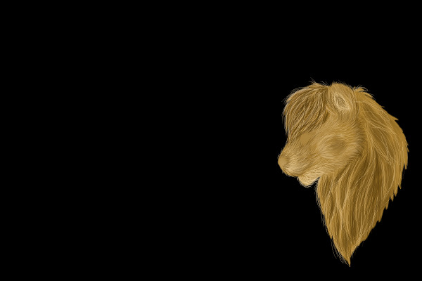 Work in Progress, Lion.