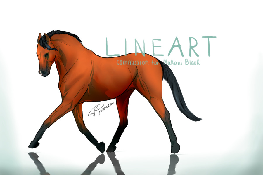 Horse LineART ~ Makani Black