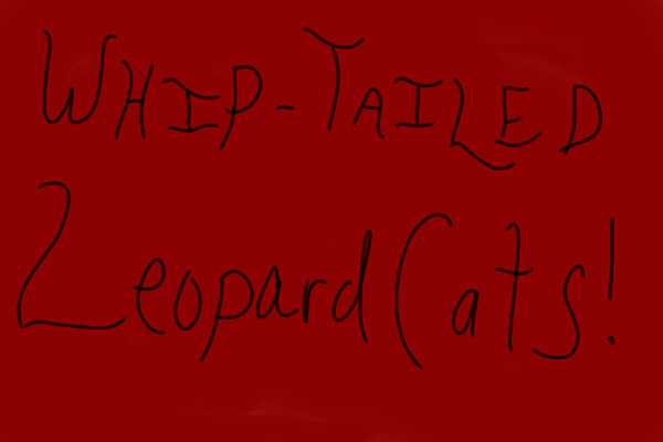 Whip-Tailed Leopard Cats Lineart Competition!
