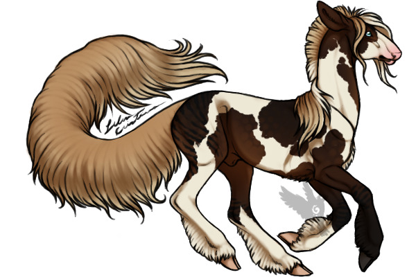 Silver Dapple Black Tovero Brindle: CLOSED