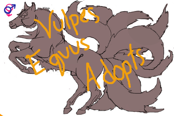 Vulpes Equus Adopts