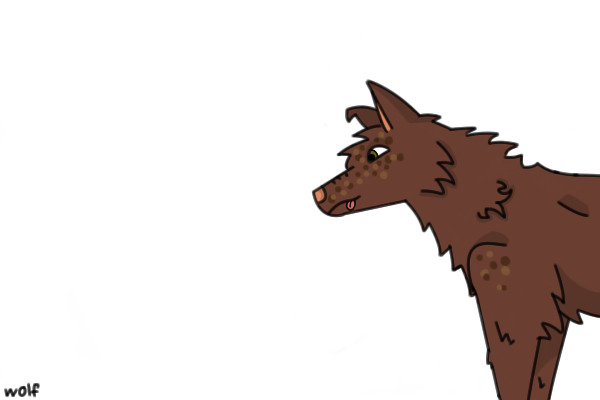 Choco