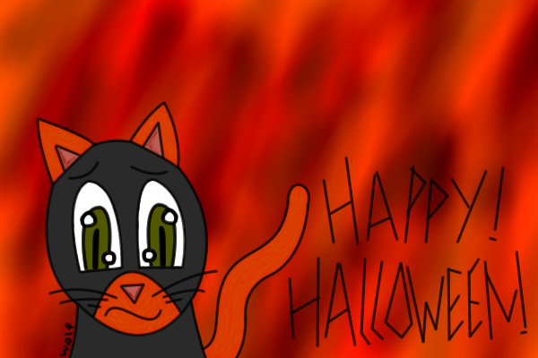 Dressed Up Cat