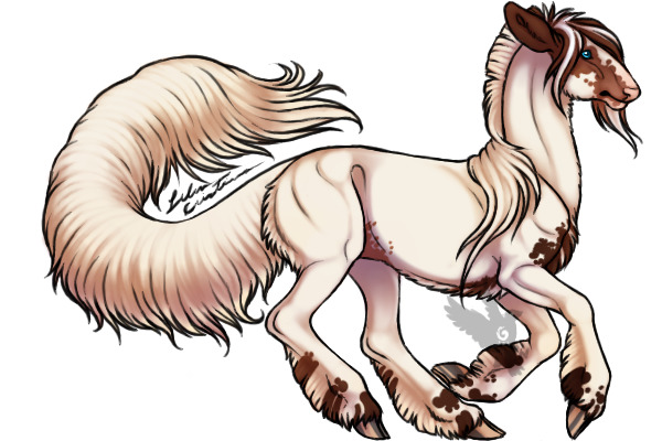 Bengal Chestnut Fewspot Apaloosa: CLOSED