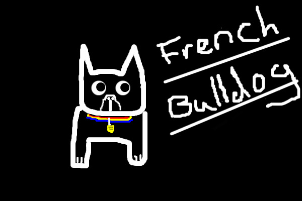 Mabel The French Bulldog :)