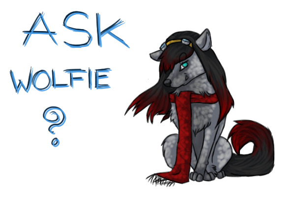 Ask Wolfie