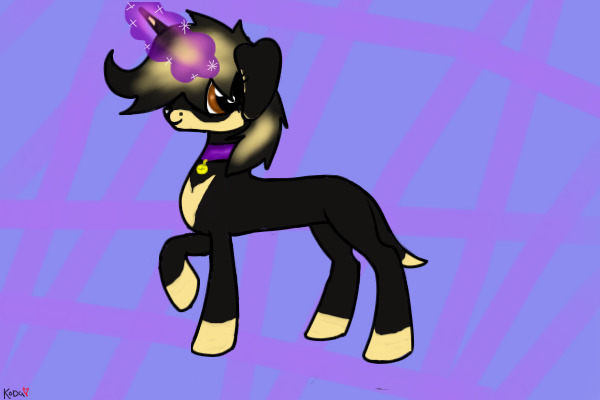Black & Cream Dachsund Pony