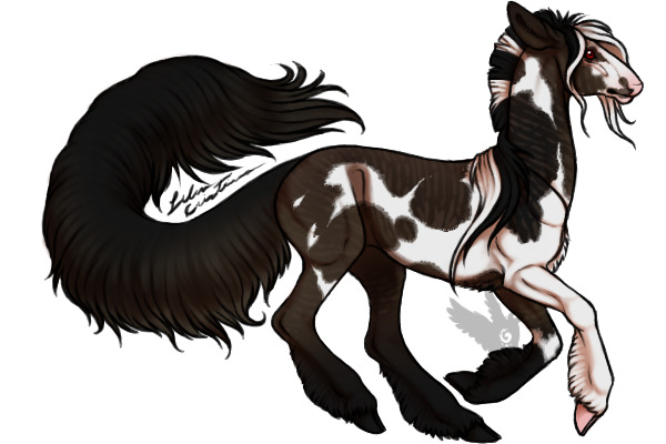 Brindle Smoky Black Tobiano
