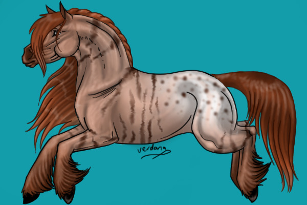 Strawberry Roan Brindle Frosted Blanket Appaloosa Draft :D