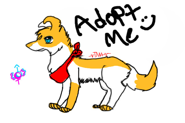 CollieFox Adoptions♪ #1