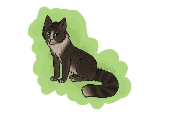 mud tabby