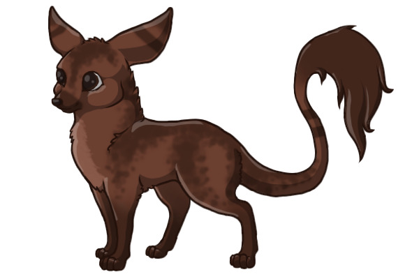 Fennec Dragon #16