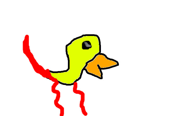Squiggly Duck