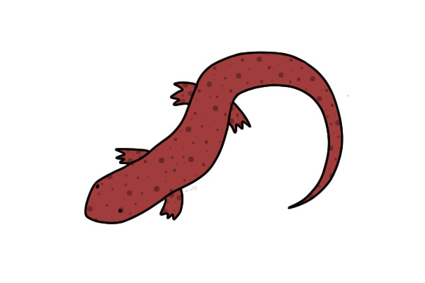 Silly Salamander