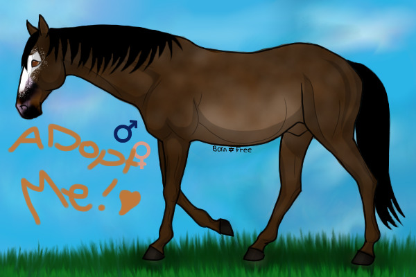 Freeborn Ranch Horse 24