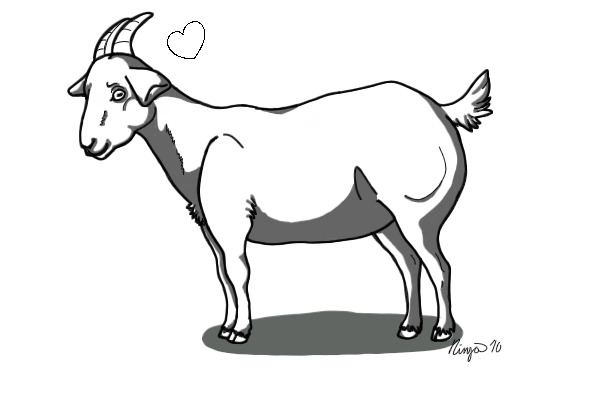 GOAT SHOP!