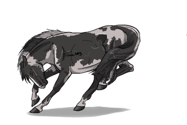 Just a regular paint horse
