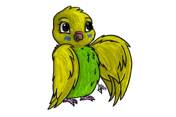 Cleo's Parakeet