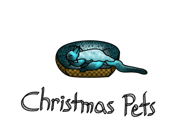 Surprise Christmass pet for adoption
