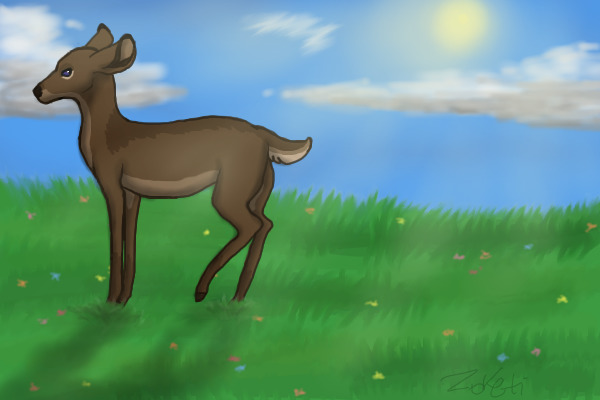 bliss meadow