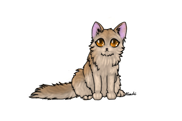 ❤Kaffeine Kitten 145#❤ Adopt Me?