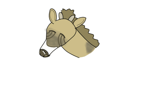 CHOCOLATE SADDLE
