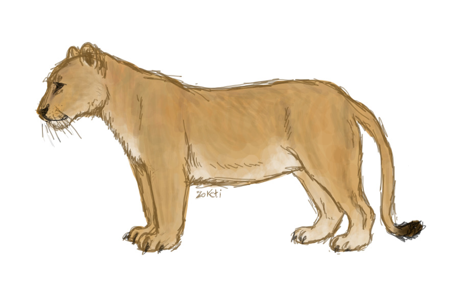 stubby