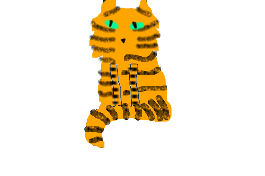 Random tiger