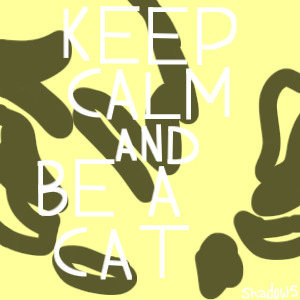 Keep calm and be a cat