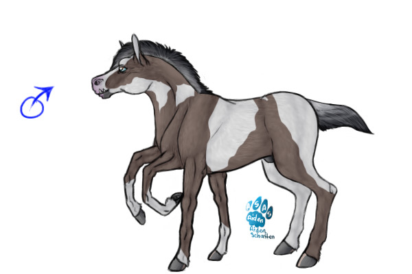 Sleipnir Foal #6